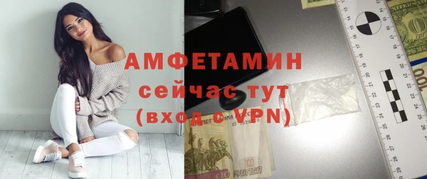 гидра Володарск