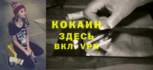 гидра Володарск