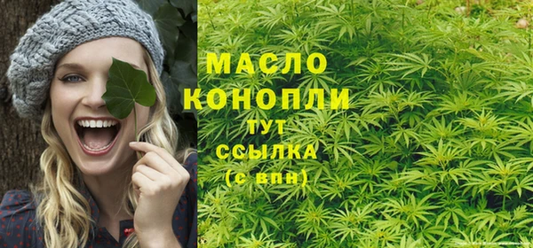гидра Володарск