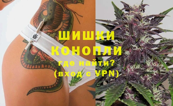 гидра Володарск