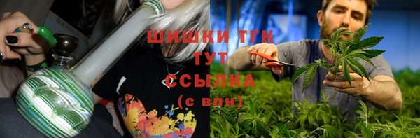 гидра Володарск