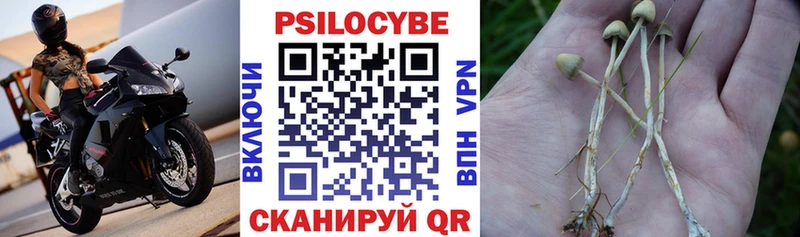 Галлюциногенные грибы прущие грибы купить закладку Северодвинск