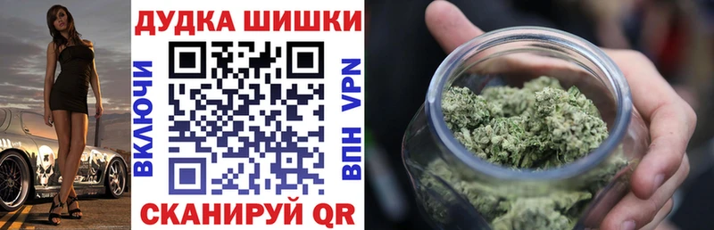 купить наркотики цена  Северодвинск  Бошки Шишки SATIVA & INDICA 